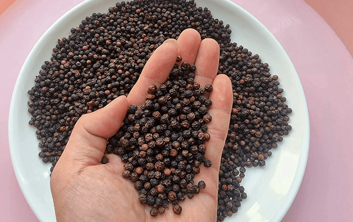 Giá tiêu hôm nay 15-5: Nhiều dự báo cho rằng tiêu có thể lên 160.000 đồng/kg cuối năm