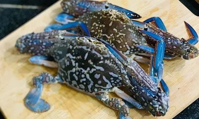 Vietnamese blue crab exports to the United States continue after NOAA recognizes equivalence of harvesting practices