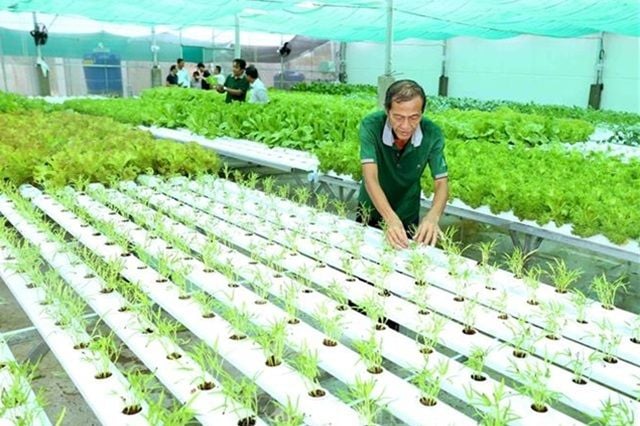 EU Green Fence requires a shift in business mindset