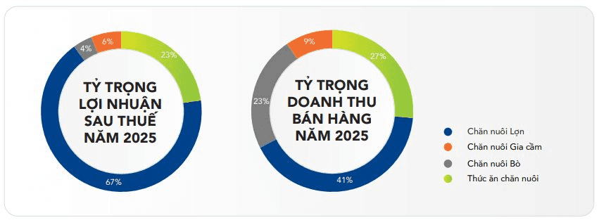 Hoa Phat Agricultural reports Q1 2026 net profit of VND 345 billion; plans 36% cash dividend for 2026