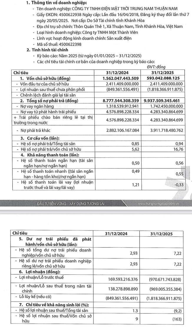 Solar power group Trung Nam Thuận Nam posts net loss after tax of 969 billion VND in 2025 as equity falls 62%