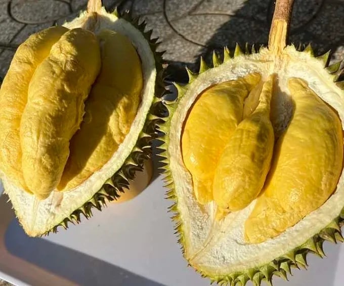 Ri6 durian prices fall to record lows as supply rises and cadmium concerns weigh on exports