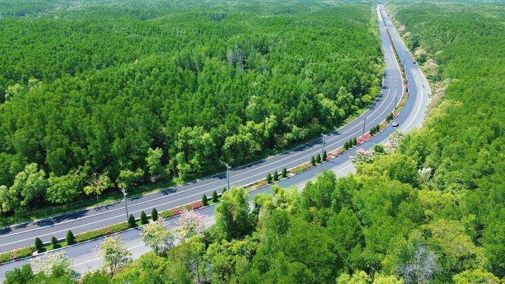 Vingroup proposes widening Rừng Sác Road to 10 lanes to connect to Can Gio urban area