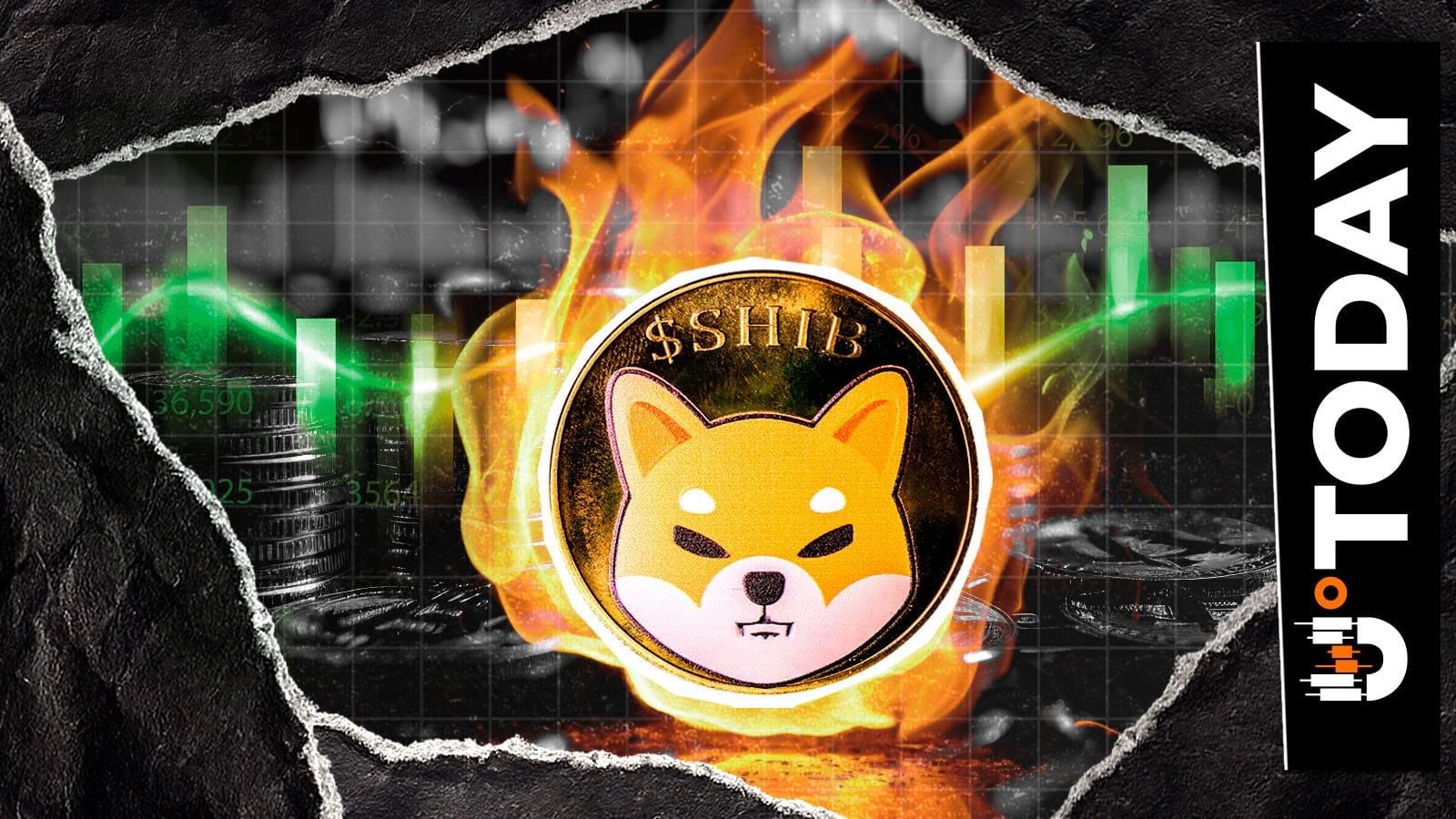 Shiba Inu burn rate rises 12% as price remains down