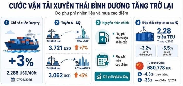 Container Shipping Rates Rebound; What Vietnamese Businesses Should Do