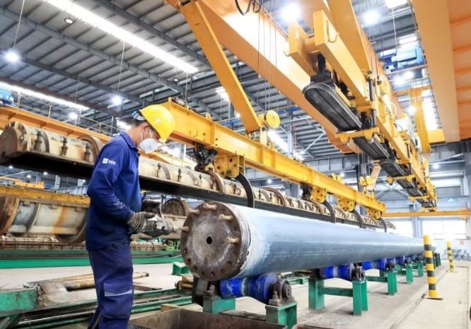 AMRO: Vietnam Responds Well to Economic Shocks