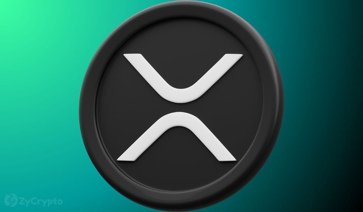 Whales accumulate 360 million XRP in a week as major buyers position for potential upside