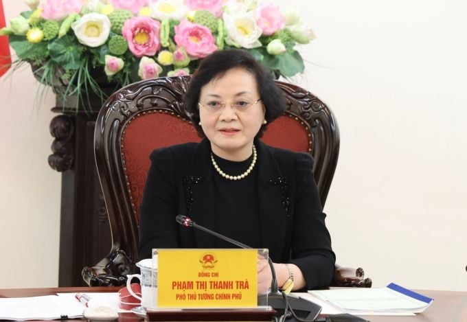 Deputy Prime Minister calls for piloting the recruitment of CEOs of state-owned enterprises