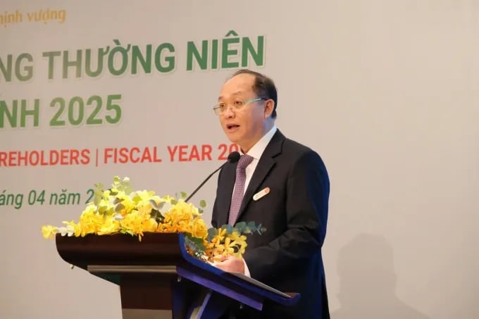 Dragon Viet Securities chairman cites lack of bank backing as a constraint on margin lending