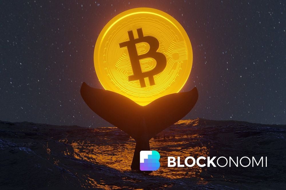 Tỉ lệ cung Stablecoin của Bitcoin chạm mức chu kỳ thấp cho thấy sự mất cân bằng thanh khoản và đáy tiềm năng