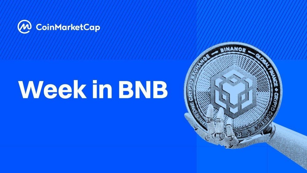 BNB Chain News: Sector Erases December Dump as Macro Tailwinds Fuel Meme Activity