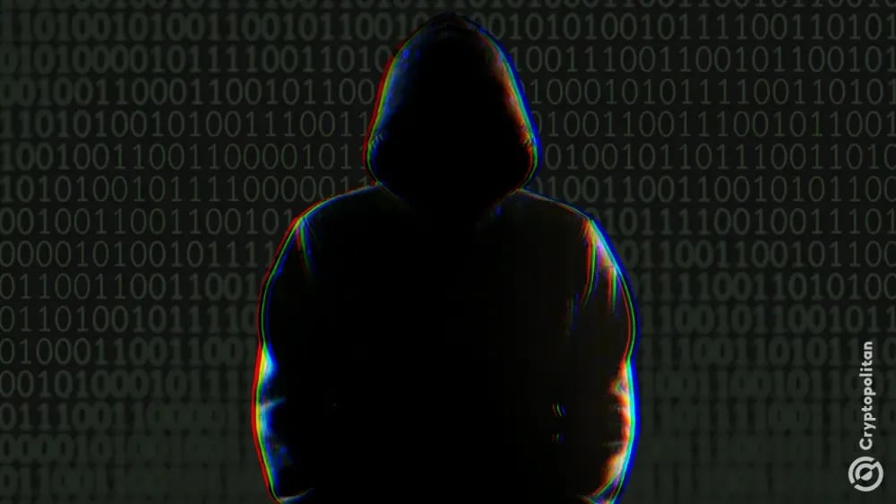 BROCCOLI meme token gains boost from hacker trading on Binance