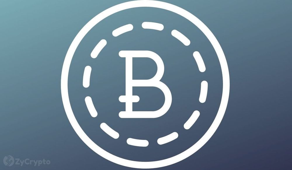 Long-Term Bitcoin Holders Finally Pump The Brakes On Selling Their Fat Stacks: Relief Rally In Sight?