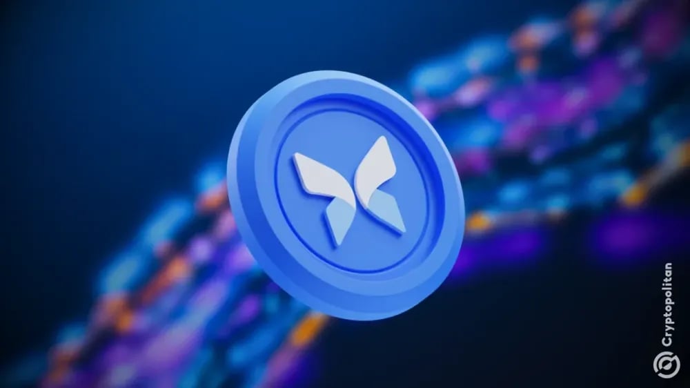 DeFi protocol Morpho shuts down Discord amid rampant scams on public channels