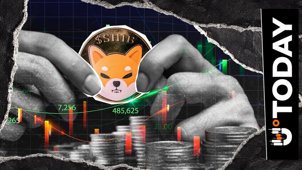 No Panic, Just Moving up Together, Top SHIB Exec Says