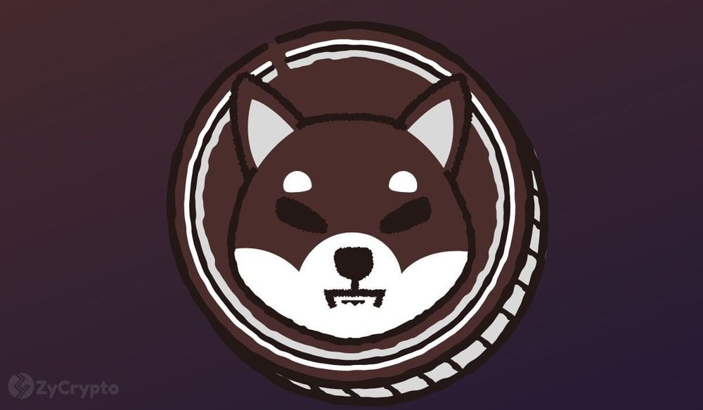 Shiba Inu Roars: Spot Inflows Explode 1,153% — Buyers Charge In