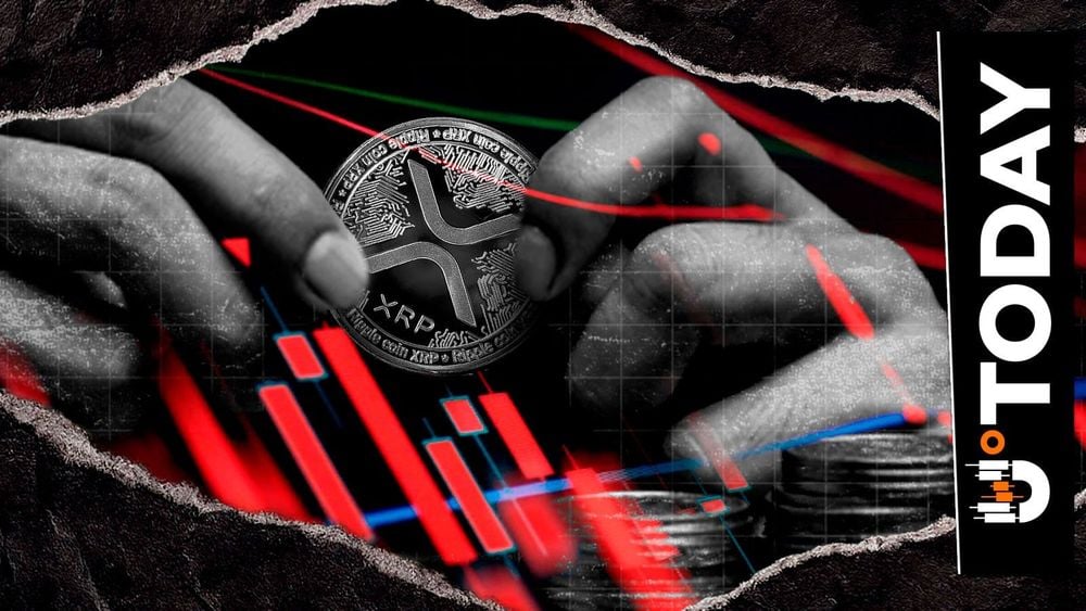 World's Highest IQ Holder Makes First Wrong XRP Price Forecast