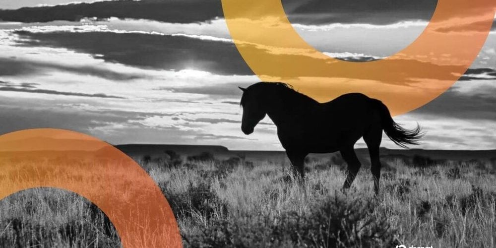 Wyoming’s Frontier Stablecoin Debuts, Offers Yield