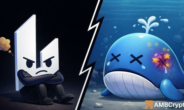 Đường phục hồi của LIT sau khoản lỗ 1,8 triệu USD từ cá voi và các khó khăn về doanh thu