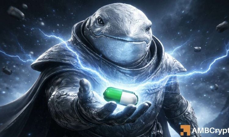 WhiteWhale pauses after 134% jump – THESE 2 pressures weigh on bulls