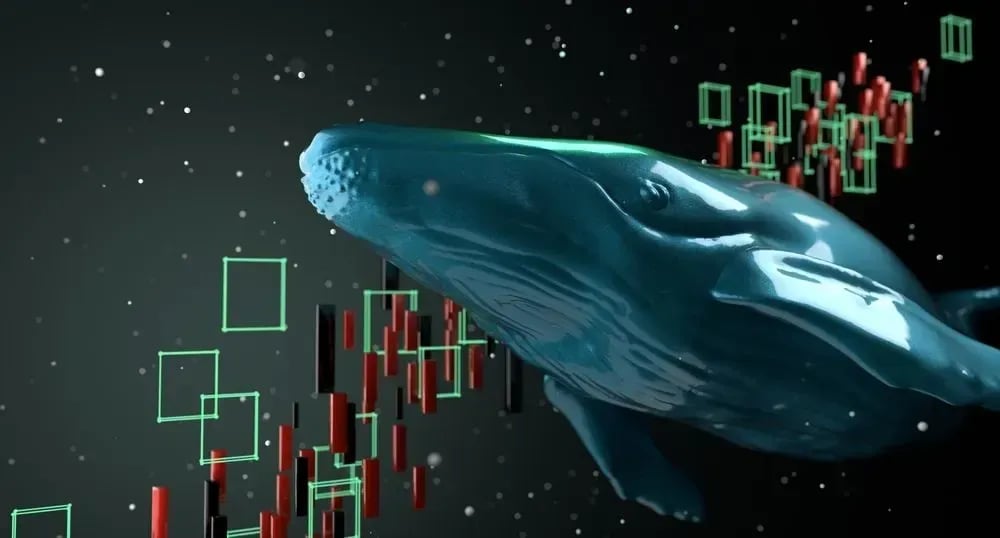 XRP Whale Activity Signals Strong HODL Culture Ahead of Next Rally