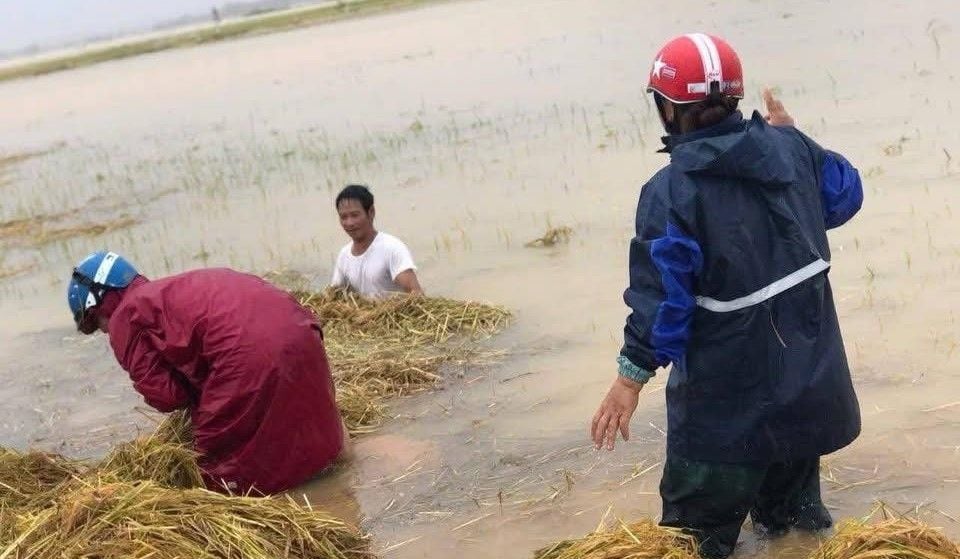 Ha Tinh allocates 671.212 billion VND to revive agricultural production in disaster-hit areas