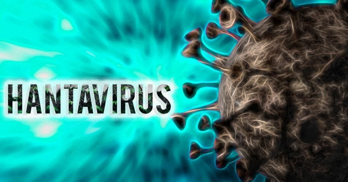 Ministry of Health updates latest information on Hantavirus infections