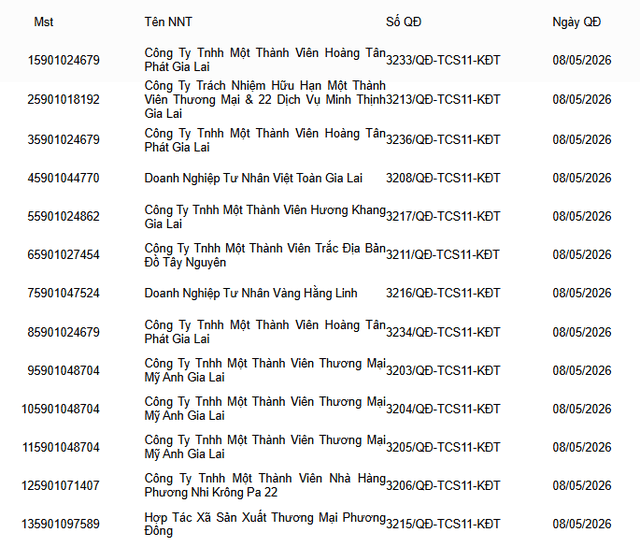 Gia Lai Tax Office orders bank account freezes for all companies named in the following list
