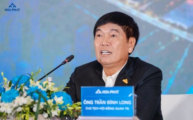 Shareholders wary of VinMetal entry; Tran Dinh Long says competing with Hoa Phat is not easy