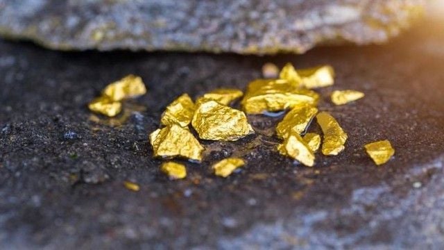Dominant trend remains growth as expert reveals a 'gold mine' on the stock market