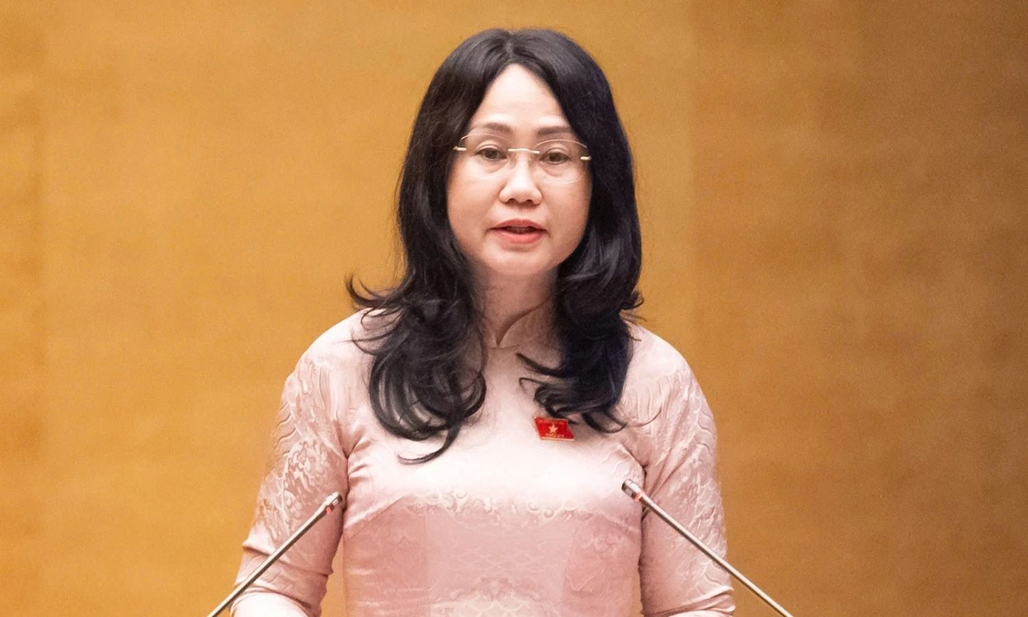 Proposal to designate November 24 as Vietnam Culture Day, with workers receiving paid leave