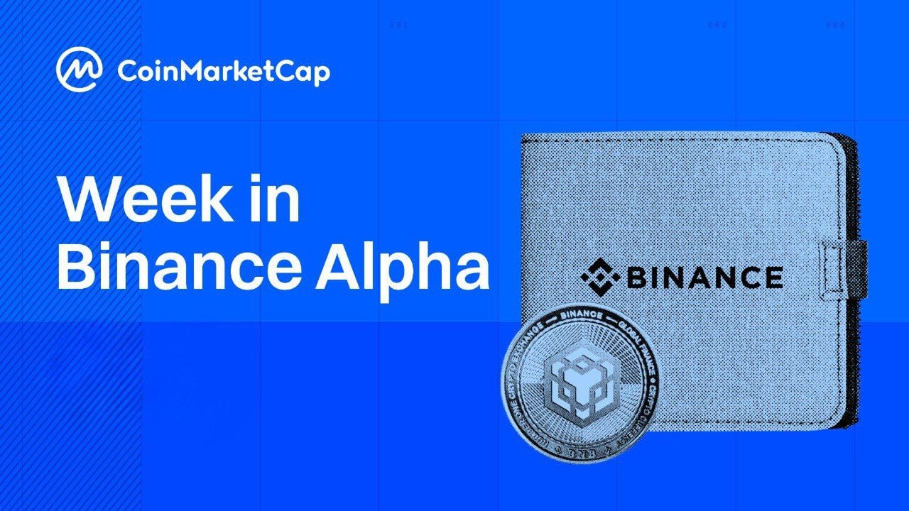 OpenGradient's $636M 24-Hour Volume Anomaly, BUILDon Up 201%, and Alpha Box Introduces Tiered Rewards