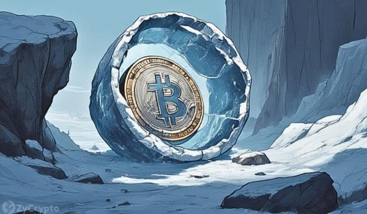 BIP-361 Proposal Akin to Seizing Bitcoin From Users: Expert