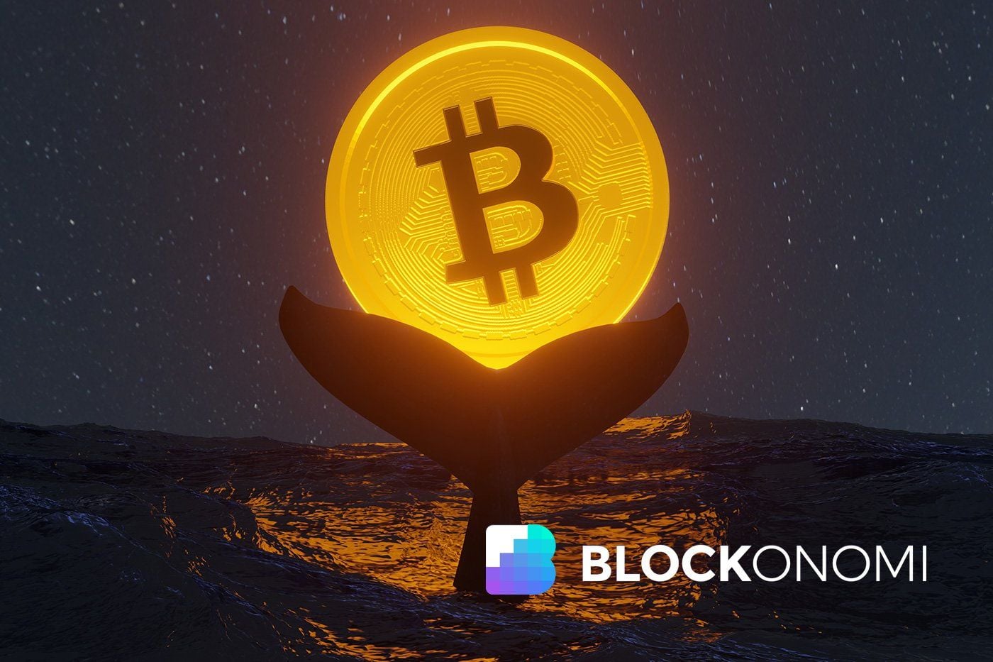 Bitcoin accumulation surges as long-term holders average 372,000 BTC per month