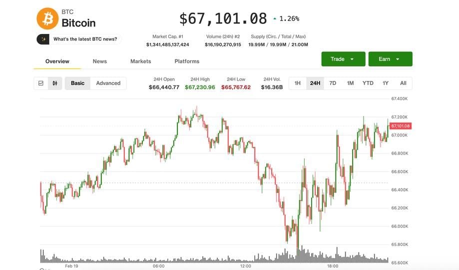 Bitcoin steadies near $67,000 as traders pay for crash protection