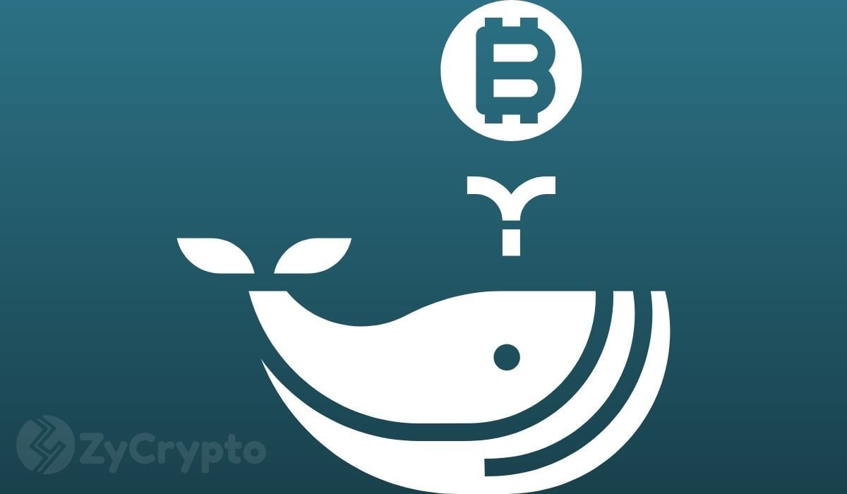 Bitcoin whales accumulate 10,000 BTC worth $750 million in 4 days