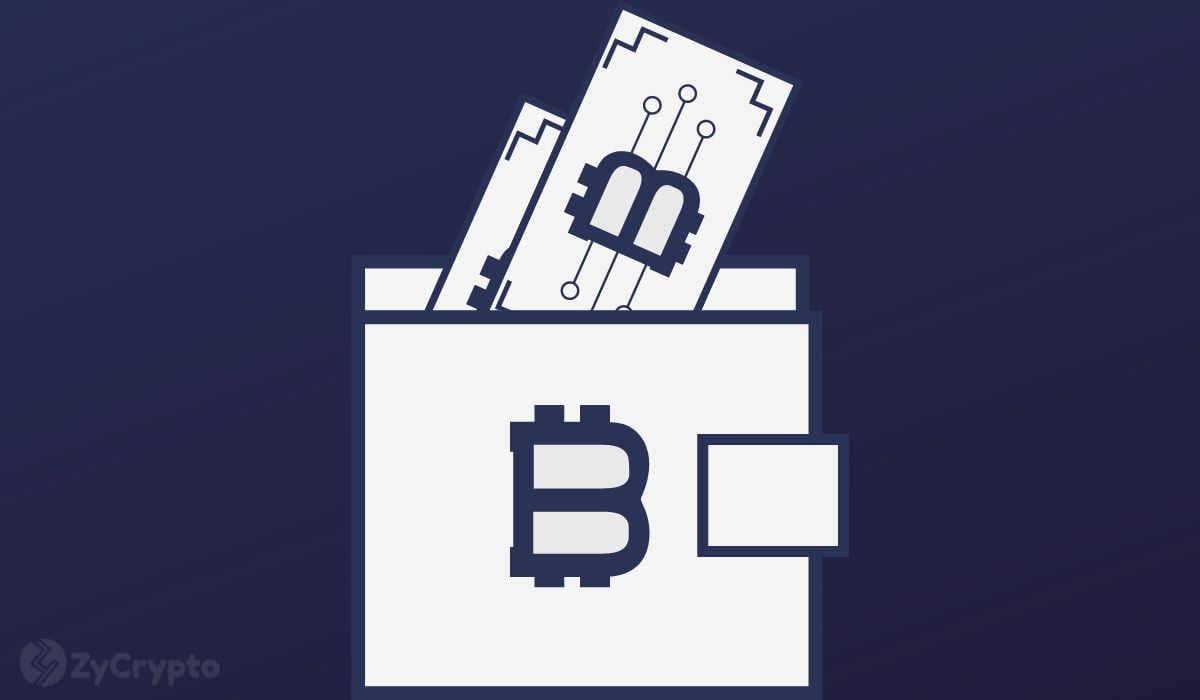 Bitcoin holder count drops at fastest pace in nearly two years