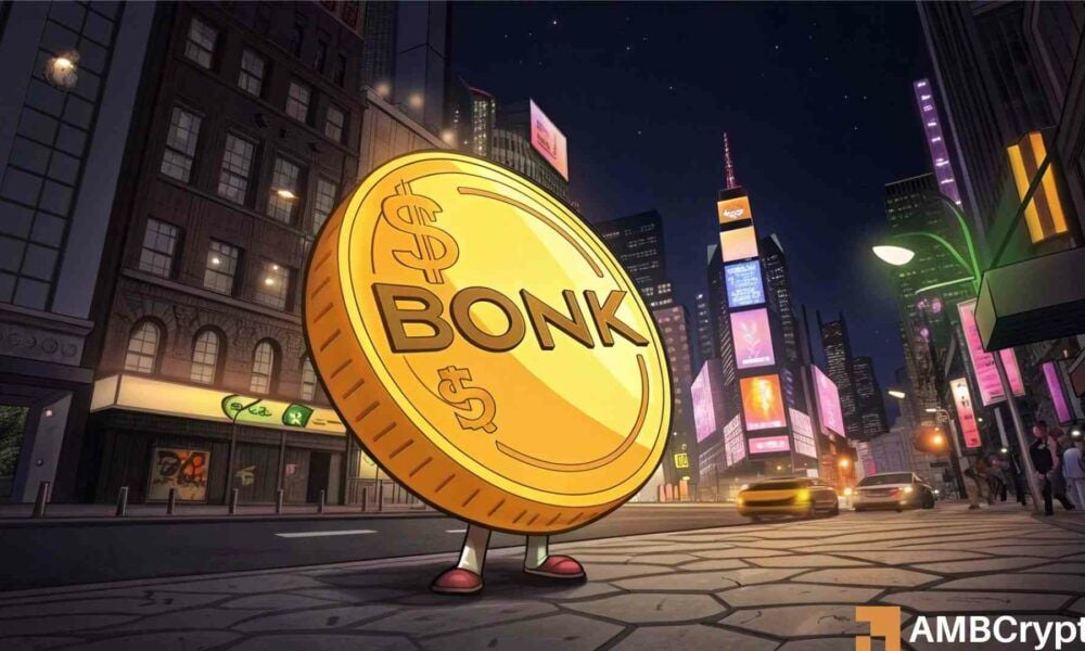 BONK memecoin: rising whale interest points to potential 22% upside