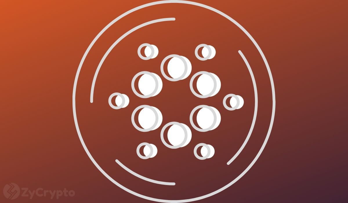 Cardano holders reach 4.6 million as ADA rally intensifies