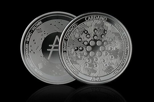 Cardano Holds Critical $0.25 Support: History Points to a Major Rally Setup