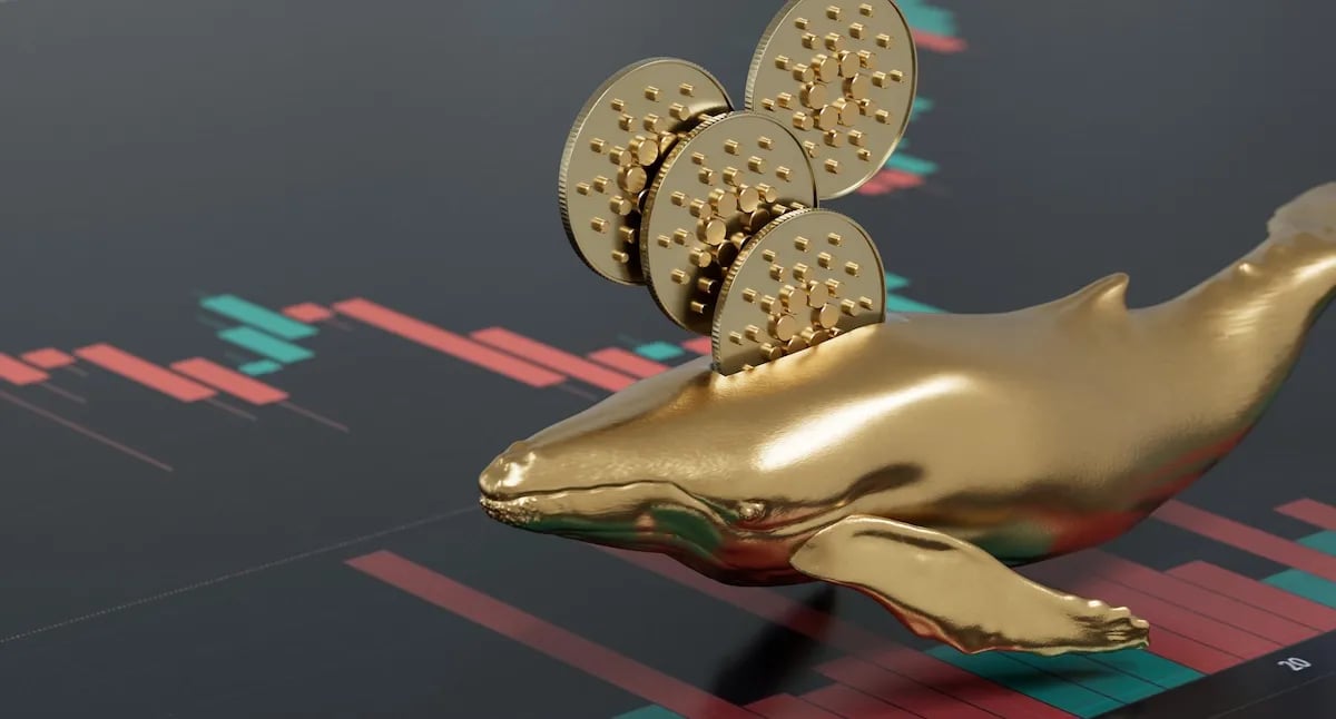 Nắm giữ cá voi Cardano tăng lên mức cao nhất kể từ năm 2020