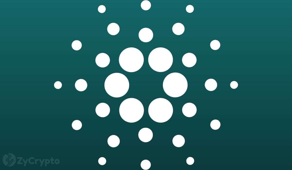 Cardano cá voi tích lũy 10 triệu ADA trong làn sóng tích lũy nhanh