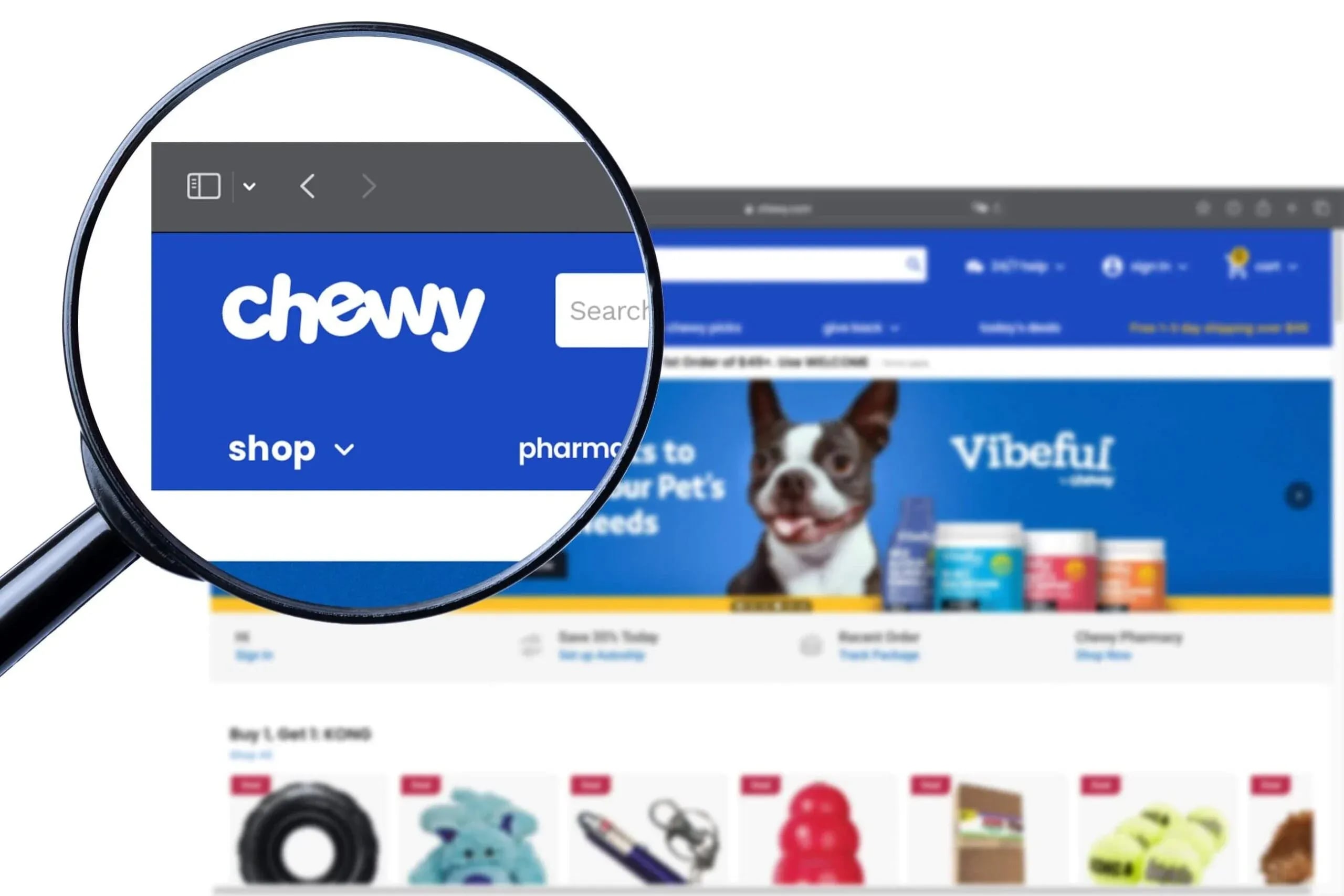 Chewy (CHWY) stock soars 11% on blowout Q4 results and strong 2026 outlook