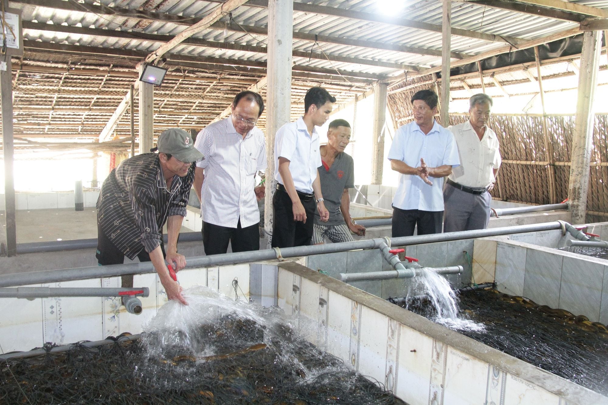 Consequences of trend-driven production in the Mekong Delta agriculture