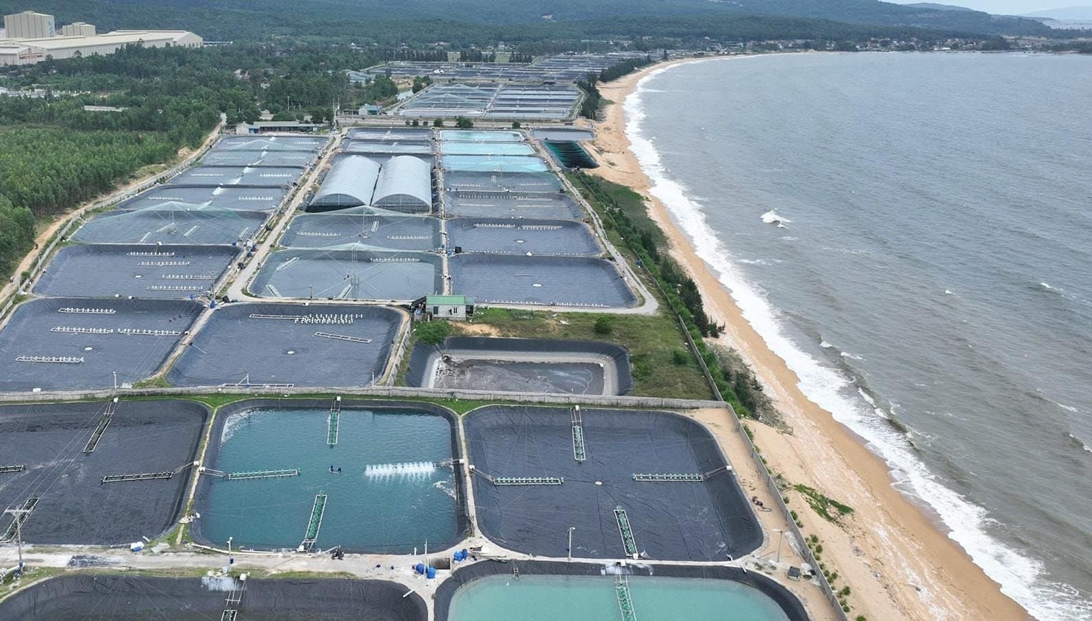 Nghệ An's 82-km coastline remains underutilized as major firms propose port investments to compete with Nghi Son and Vung Ang