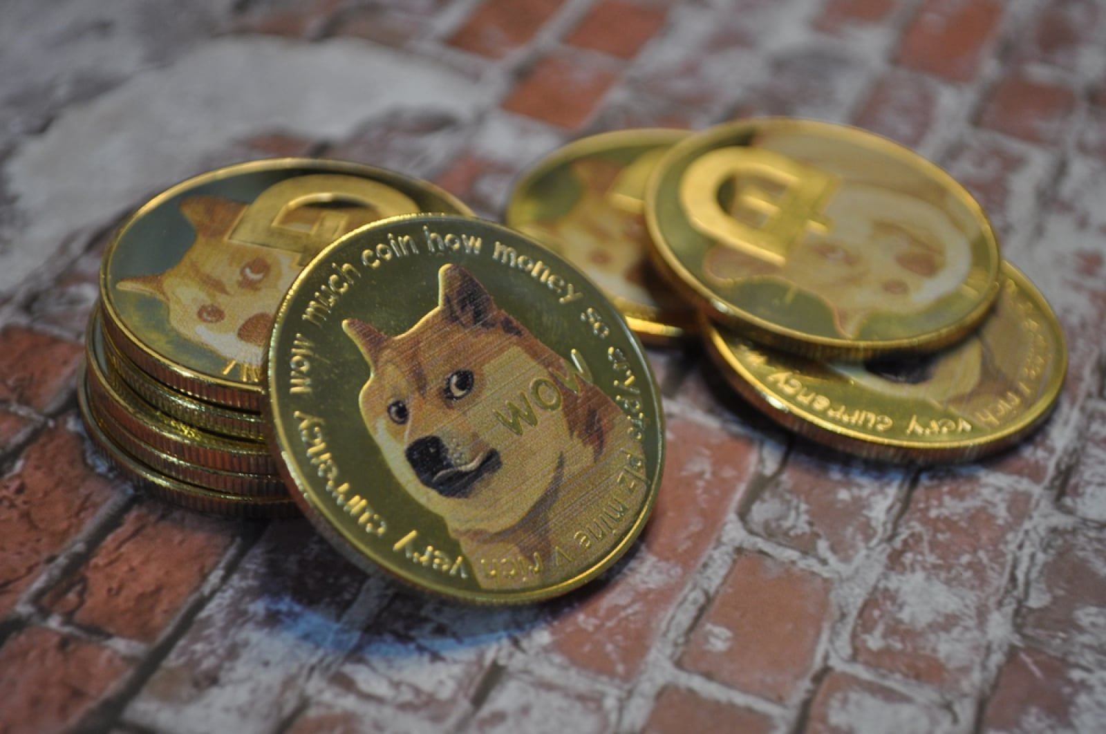 Dogecoin Mega-Rally Continues: 3 Price Levels to Watch Next