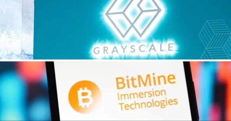 Grayscale and Bitmine stake nearly $500 million in Ethereum: On-chain data