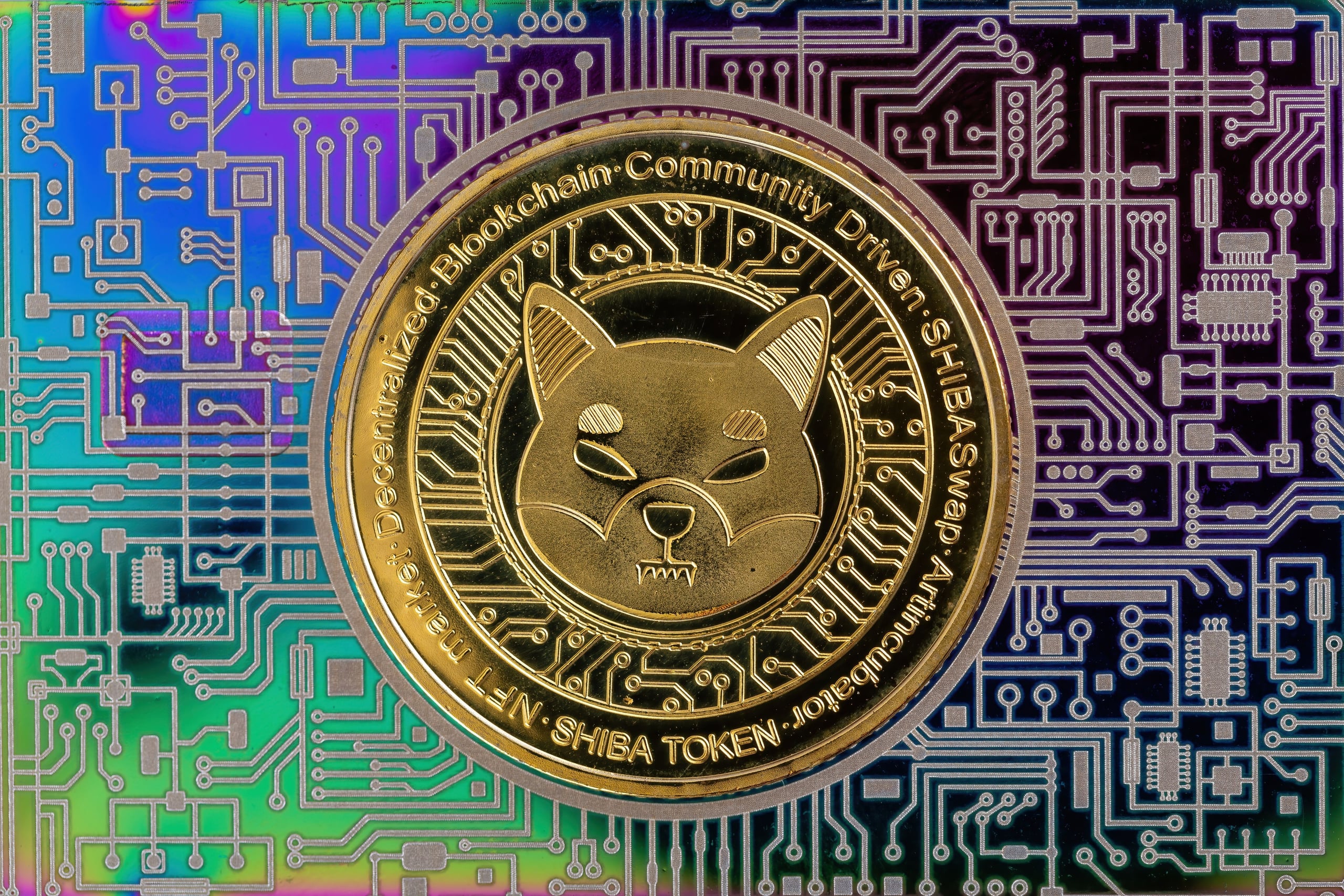 Kraken transfers 46 billion Shiba Inu tokens worth $301,900 as SHIB price rises 1.3%