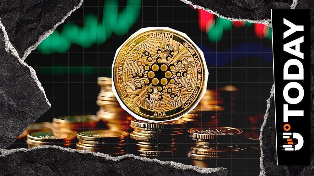 Cardano wallets holding at least 10 million ADA reach a four-month high of 424 as ADA price eyes a rebound