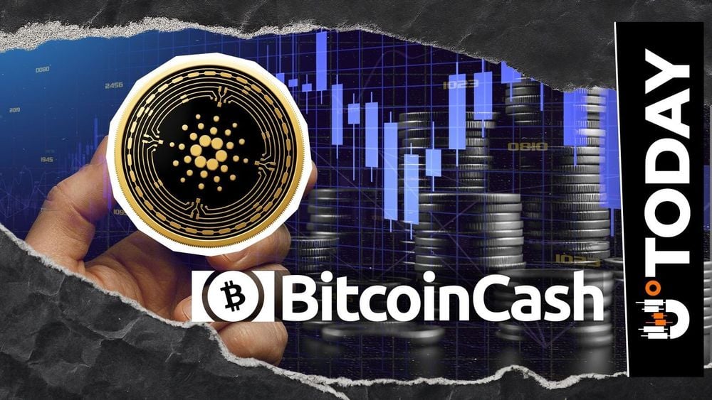 Cardano (ADA) overtakes Bitcoin Cash as the price rebounds mildly